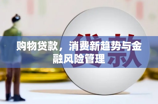 任丘购物贷款，消费新趋势与金融风险管理