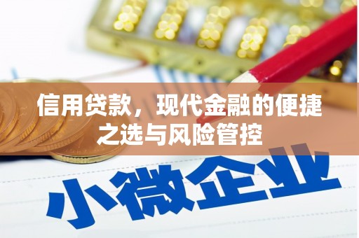 任丘信用贷款，现代金融的便捷之选与风险管控