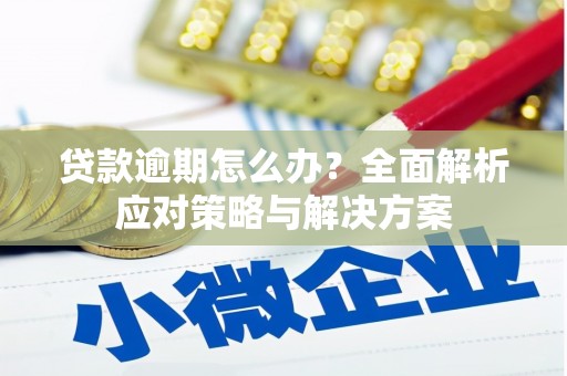任丘贷款逾期怎么办？全面解析应对策略与解决方案