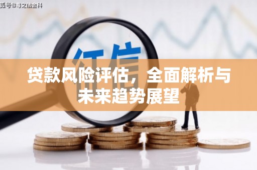 任丘贷款风险评估，全面解析与未来趋势展望