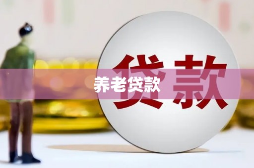 任丘养老贷款