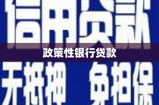 任丘政策性银行贷款