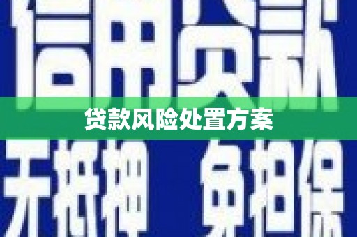 任丘贷款风险处置方案