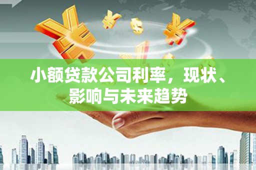 任丘小额贷款公司利率，现状、影响与未来趋势