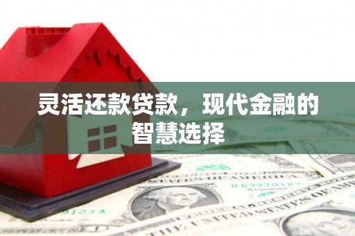 任丘灵活还款贷款，现代金融的智慧选择