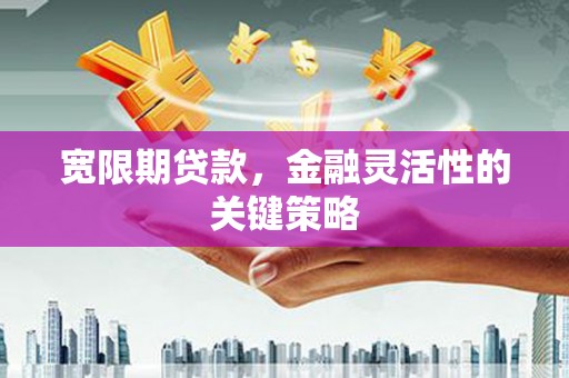 任丘宽限期贷款，金融灵活性的关键策略
