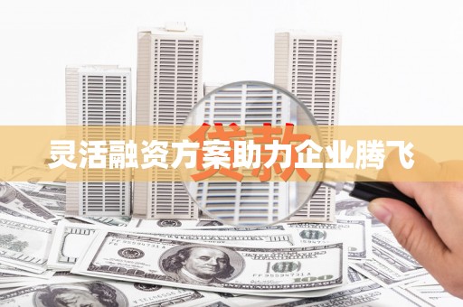 任丘灵活融资方案助力企业腾飞