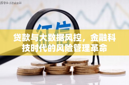 任丘贷款与大数据风控，金融科技时代的风险管理革命