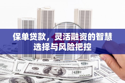 任丘保单贷款，灵活融资的智慧选择与风险把控