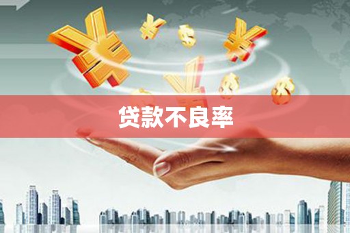 任丘贷款不良率