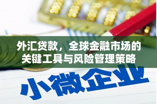 任丘外汇贷款，全球金融市场的关键工具与风险管理策略