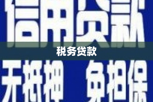 任丘税务贷款