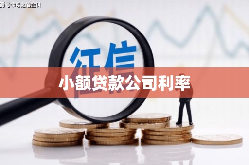 任丘小额贷款公司利率