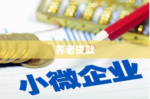 任丘养老贷款