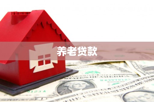 任丘养老贷款