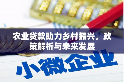任丘农业贷款助力乡村振兴，政策解析与未来发展