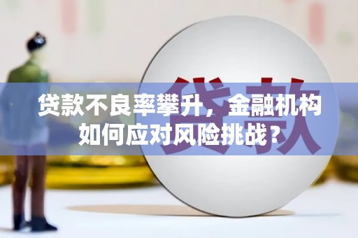 任丘贷款不良率攀升，金融机构如何应对风险挑战？