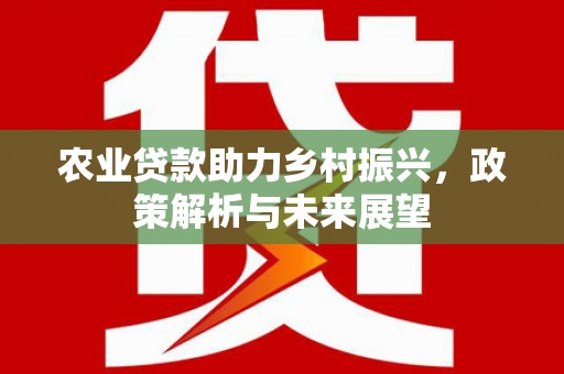任丘农业贷款助力乡村振兴，政策解析与未来展望