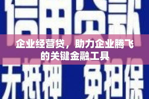 任丘企业经营贷，助力企业腾飞的关键金融工具