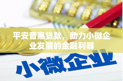 任丘平安普惠贷款，助力小微企业发展的金融利器