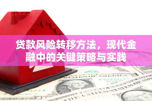 任丘贷款风险转移方法，现代金融中的关键策略与实践