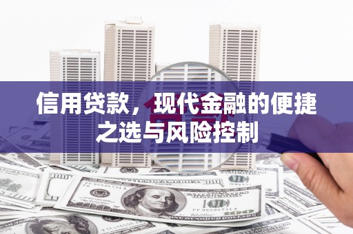 任丘信用贷款，现代金融的便捷之选与风险控制