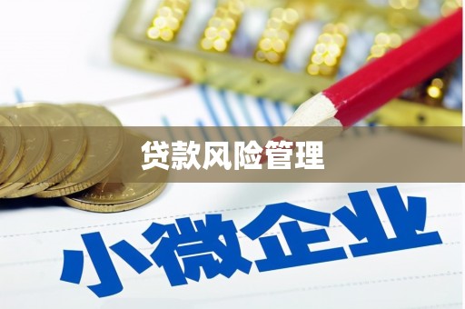 任丘贷款风险管理