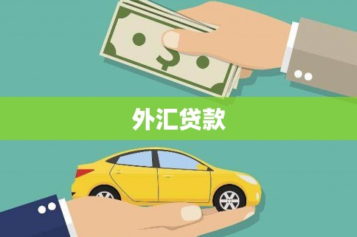 任丘外汇贷款