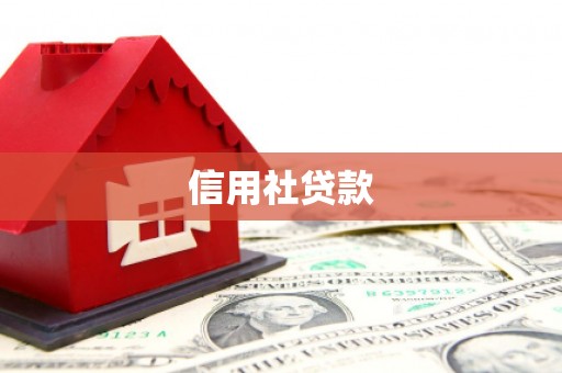 任丘信用社贷款