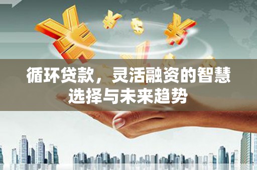 任丘循环贷款，灵活融资的智慧选择与未来趋势