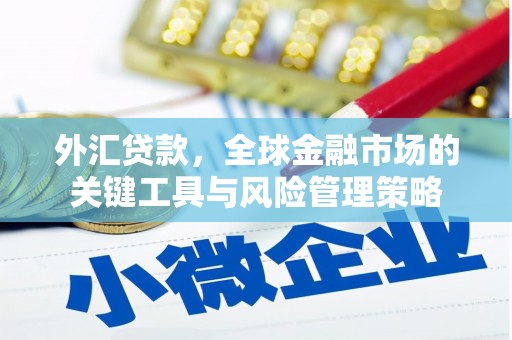 任丘外汇贷款，全球金融市场的关键工具与风险管理策略