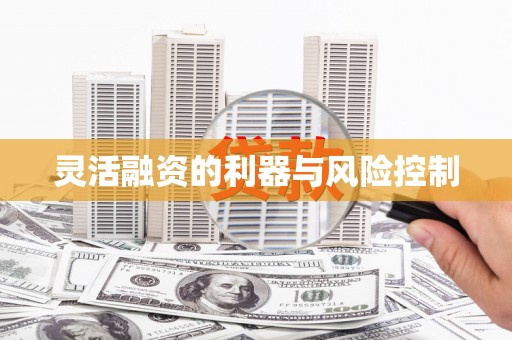 任丘灵活融资的利器与风险控制