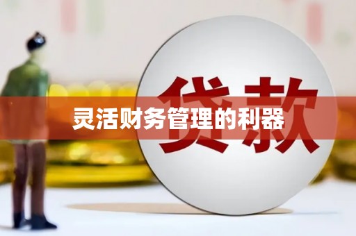 任丘灵活财务管理的利器