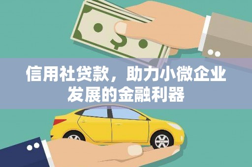 任丘信用社贷款，助力小微企业发展的金融利器