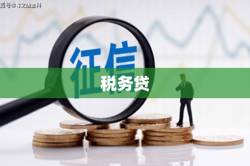 任丘税务贷
