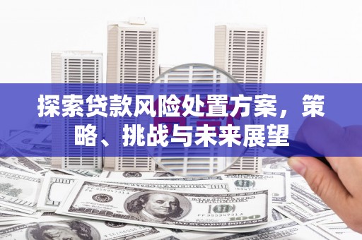 任丘探索贷款风险处置方案，策略、挑战与未来展望