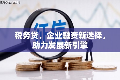 任丘税务贷，企业融资新选择，助力发展新引擎