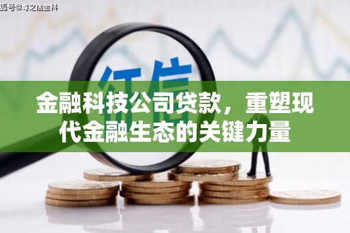 任丘金融科技公司贷款，重塑现代金融生态的关键力量