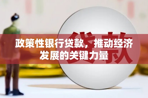 任丘政策性银行贷款，推动经济发展的关键力量