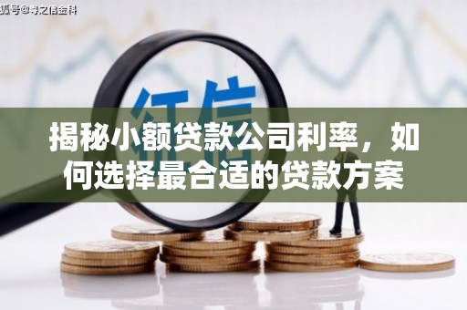 任丘揭秘小额贷款公司利率，如何选择最合适的贷款方案
