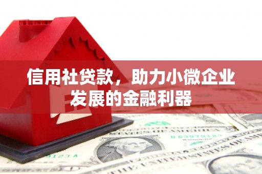 任丘信用社贷款，助力小微企业发展的金融利器
