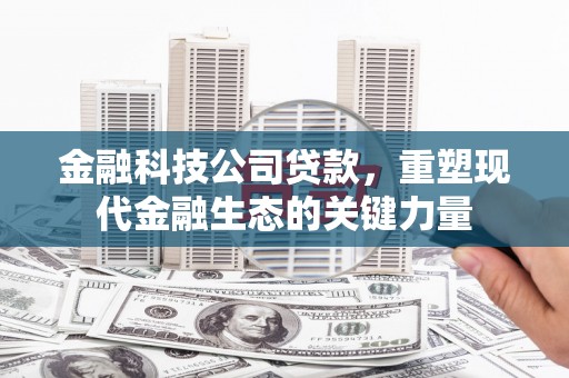 任丘金融科技公司贷款，重塑现代金融生态的关键力量