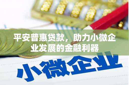 任丘平安普惠贷款，助力小微企业发展的金融利器