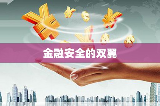 任丘金融安全的双翼