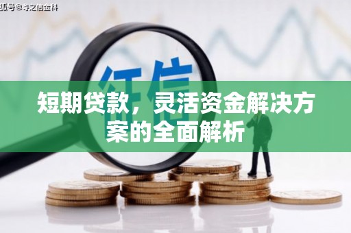 任丘短期贷款，灵活资金解决方案的全面解析