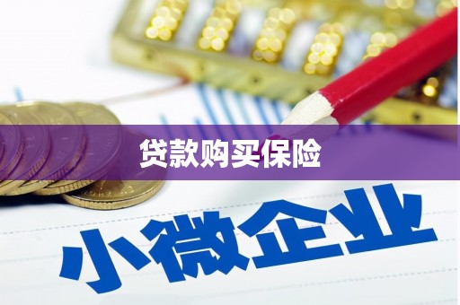 任丘贷款购买保险
