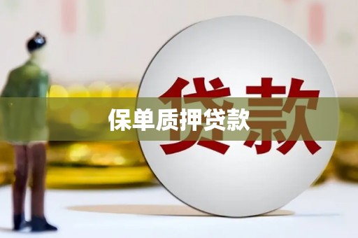 任丘保单质押贷款