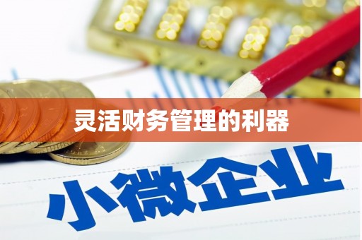 任丘灵活财务管理的利器