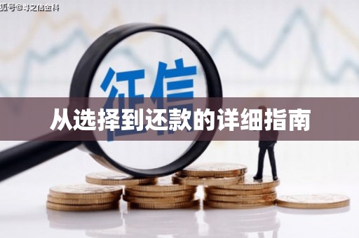 任丘从选择到还款的详细指南