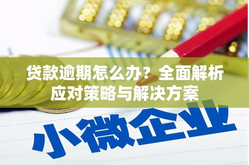 任丘贷款逾期怎么办？全面解析应对策略与解决方案